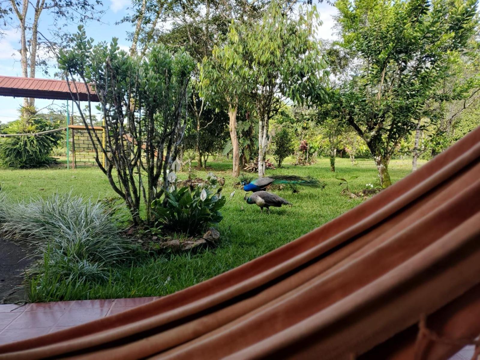 Отель La Quinta De Andres San Isidro  Экстерьер фото