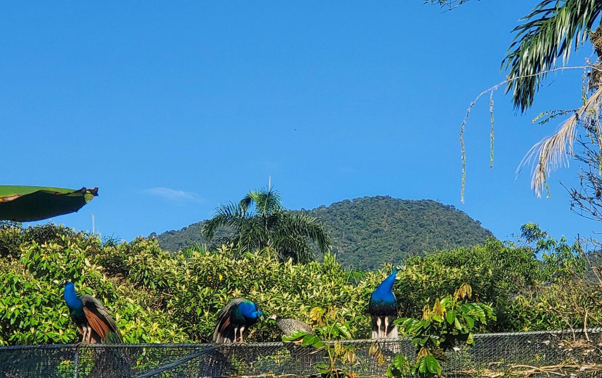 Отель La Quinta De Andres San Isidro  Экстерьер фото